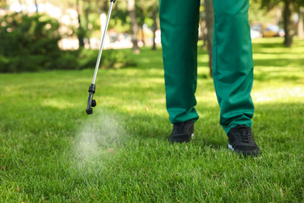 Reliable Jamestown, KY Pest Control Solutions