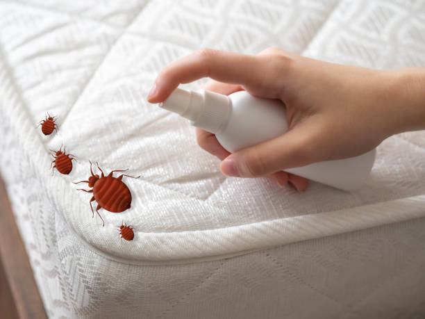 Pest Prevention Services in Jamestown, KY
